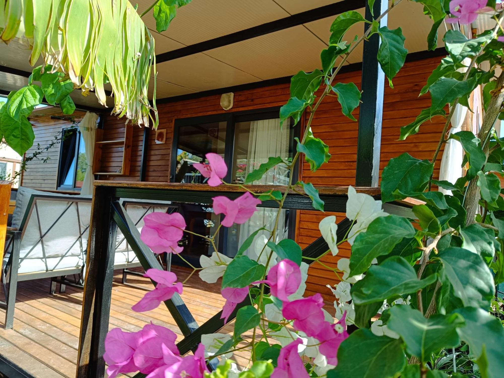 Arlin Bungalows Kemer Room photo